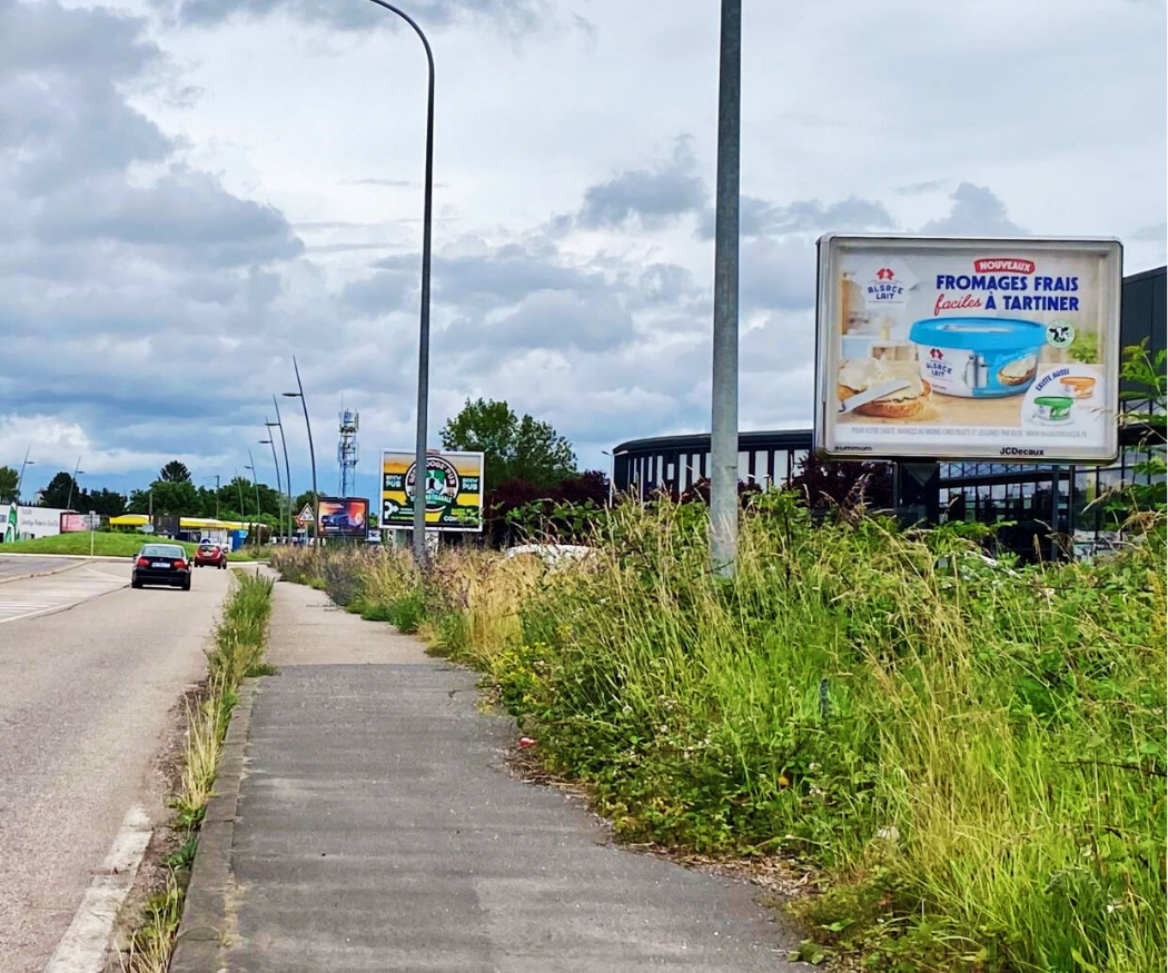 affichage-alsace-lait-10